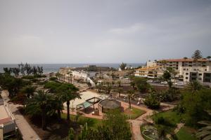 a city with palm trees and buildings and the ocean at Apartamentos Tarahal in San Agustin