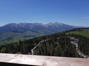 En generel udsigt til bjerge eller udsigt til bjerge taget fra lejligheden