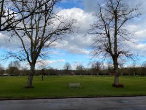 a park with two trees and a bench in the grass at Cavendish house in Strawberry Hill