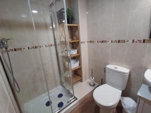 a bathroom with a shower with a toilet and a sink at Inmocyma Los Almendros in Castejón de Sos +15 photos
