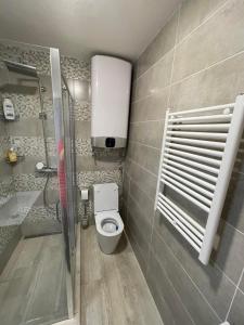 a small bathroom with a toilet and a shower at Apartman Anna Budva in Budva