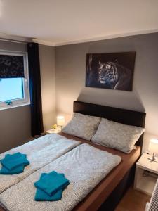 Ein Bett oder Betten in einem Zimmer der Unterkunft Stadtnah an der Förde 7 HH L 1OG