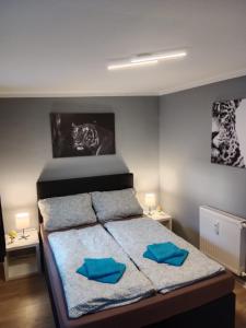een slaapkamer met een bed met blauwe kussens erop bij Stadtnah an der Förde 7 HH L 1OG in Flensburg