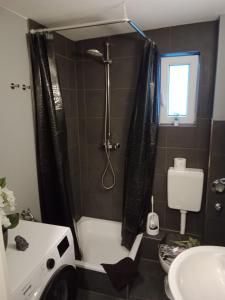 een badkamer met een douche en een wastafel bij Stadtnah an der Förde 7 HH L 1OG in Flensburg