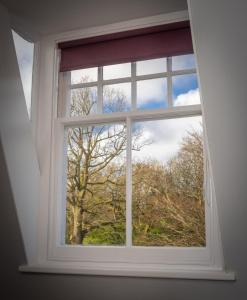 una ventana con vistas a un árbol en Loft Apartment, Keswick, en Keswick