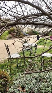 deux bancs vides assis dans l'herbe près d'un champ dans l'établissement Les Logis d Ussé, à Rigny-Ussé