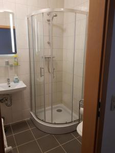 uma casa de banho com um chuveiro, um WC e um lavatório. em Hotel zur Altstadt em Calbe