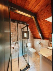 uma casa de banho com um chuveiro e um WC. em UĞURLUBUNGALOV em Sapanca