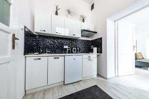 Kuchyňa alebo kuchynka v ubytovaní Wawel Castle Apartment + 14 fotografií