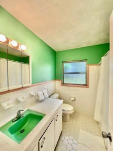 a green bathroom with a toilet and a sink at Perfect Fun House to Visit Theme Parks in Lake Alfred