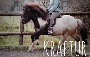 a woman riding a horse jumping over a fence at Ferienhaus Sommerweide 160qm bis 10P in Haßloch +4 photos