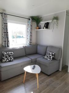 a living room with a couch and a table at CHEZ SEB & BELINDA, Séjour TOUT CONFORT dans environnement CALME et VERDOYANT in Saint-Julien-en-Born