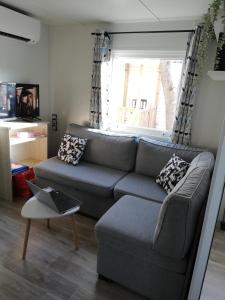 uma sala de estar com um sofá e uma janela em CHEZ SEB & BELINDA, Séjour TOUT CONFORT dans environnement CALME et VERDOYANT em Saint-Julien-en-Born