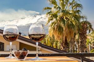 zwei Gläser Wein auf einem Tisch mit einem Berg in der Unterkunft Villa TreA in Mascali