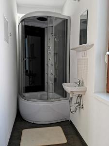 ein Bad mit einer Dusche und einem Waschbecken in der Unterkunft Lizi Apartman in Harkány