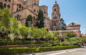 A garden outside Elegant studio in the heart of Malaga by REMS
