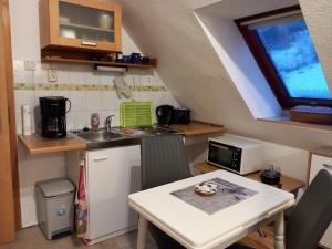 uma pequena cozinha com uma pequena mesa e um lavatório em Ferienwohnung Rathke em Sorge