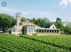 a large house on a hill with a vineyard at 1.0 Relaxen am Kloster Johannisberg in Geisenheim