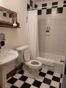 La salle de bains est pourvue de toilettes, d'un lavabo et d'une douche. dans l'établissement Oak Hill Inn, à Julian