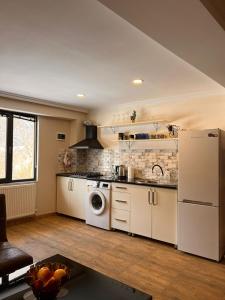 a kitchen with a washer and dryer at Woodland Borjomi in Borjomi