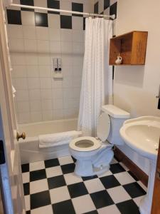 La salle de bains est pourvue de toilettes et d'un lavabo. dans l'établissement Oak Hill Inn, à Julian
