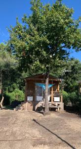 een gebouw met een boom ervoor bij Chris et Sabrina - Camping Les Viviers 4 étoiles in Lège-Cap-Ferret