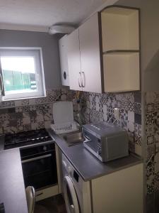 a kitchen with a counter top with a microwave at Pleasure stay in Sovata