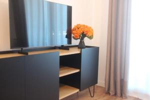 a television on a stand with a vase of flowers at Apartamento Nicores Bidasoa in Irún