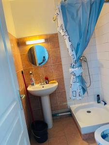 a bathroom with a sink and a shower curtain at Owen in Montargis