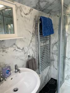 a bathroom with a sink and a shower at Silver Springs Farm Lodge in Dingestow +26 photos