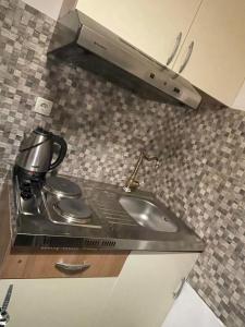 Kuchyňa alebo kuchynka v ubytovaní Bolkovac Apartman Ulica Donje selo 33 Fužine