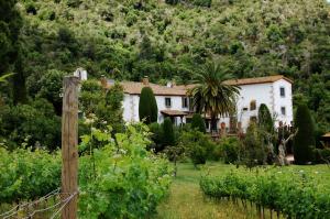 a white house with a palm tree in a garden at Finca Bell-Lloc in Palamós