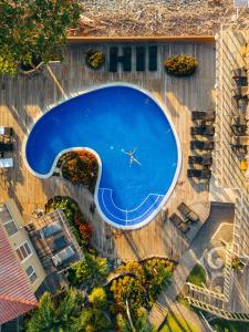 an overhead view of a large swimming pool with a plane in it at Casa de Mar Hotel And Villas in El Sunzal