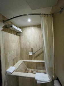 La salle de bains est pourvue d'une douche avec rideau de douche. dans l'établissement Arroyo Express, à Zacatecas