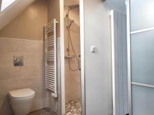 łazienka z toaletą i prysznicem w obiekcie L'Héméra: Maison au coeur de Barfleur w mieście Barfleur +7 zdjęć