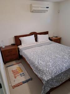 ein Schlafzimmer mit einem Bett und einem Teppich auf dem Boden in der Unterkunft Pura vida in Aschkelon