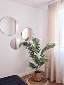 ein Schlafzimmer mit einer Pflanze und Spiegeln an der Wand in der Unterkunft Apartamento Nicores Bidasoa in Irún