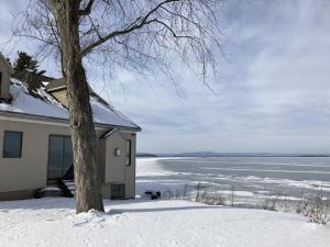 una casa en la nieve junto a un árbol en Life on the Lake en Colchester