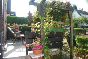 einen Garten mit einer Pergola mit Blumen und Pflanzen in der Unterkunft Ferienhaus Kaffenberger in Michelstadt