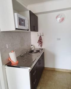 een keuken met een wastafel en een magnetron bij Centro Rio Gallegos in Río Gallegos