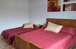 twee bedden naast elkaar in een kamer bij Centro Rio Gallegos in Río Gallegos