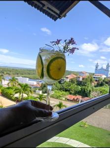 a person holding a glass with a lemon in a window at Hotel Rio Acaraí in Camamu