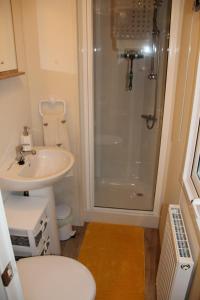 a small bathroom with a shower and a sink at Bimble Lodge in Langport