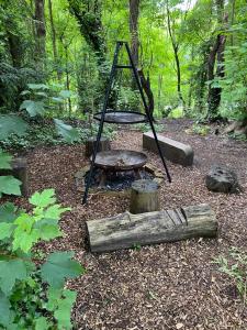 Κήπος έξω από το Foxes Hollow - Woodland Cabin - Alfriston