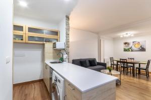 Kuchyň nebo kuchyňský kout v ubytování Apartamento junto al Guggenheim con parking gratuito