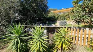 Fotografia z galérie ubytovania Gîte dans villa méditerranéenne v destinácii Porto-Vecchio