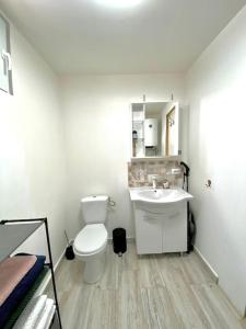 La salle de bains blanche est pourvue de toilettes et d'un lavabo. dans l'établissement Căsuța din CRAI, à Zărneşti