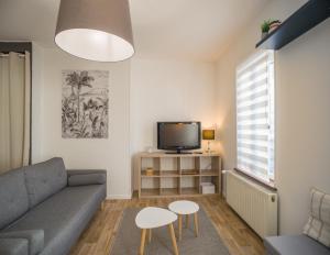a living room with a couch and a tv at Le Duplex Troyen - 5 min Hypercentre - Ideal Groupe - Parking Gratuit in Troyes