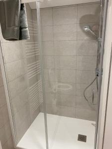 a shower with a glass door in a bathroom at Le Saint-Hilaire in Saint-Hilaire-de-Brens
