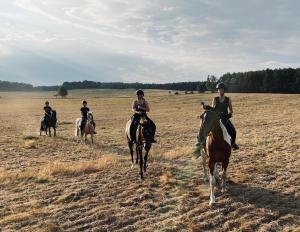 a group of people riding horses in a field at Pod daglezją in Bronków